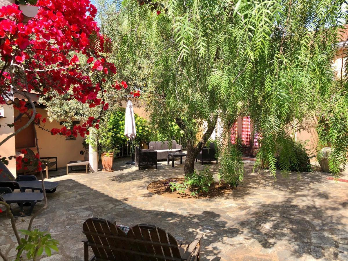 Chambres D'Hotes Le Clos Des Oliviers Sorbo-Ocagnano Exterior photo