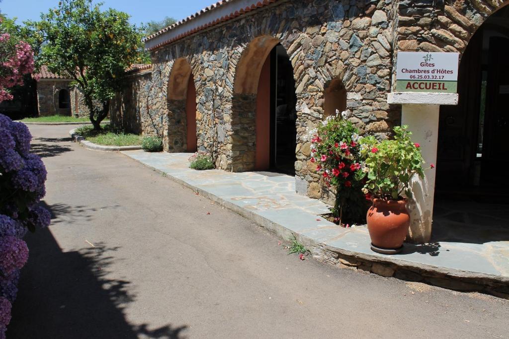 Chambres D'Hotes Le Clos Des Oliviers Sorbo-Ocagnano Exterior photo